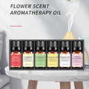 6 Bottles 10ml Essential Aromatherapy Oil Pure Natural Set for Aroma Diffuser