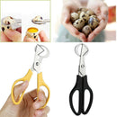 pigeon Quail Egg Scissor Bird Cutter Opener Egg Slicers Kitchen Tool Clipp C Gw