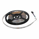 5M 3528 SMD 300 LED string light waterproof RGB strip with remote control
