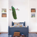 Creative Animals Peacock On Branch Feathers Wall Stickers  Home Decor3C