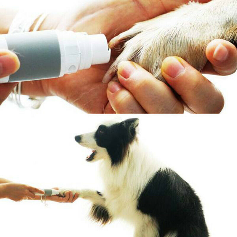 Dog Nail Grinder Professional 2-Speed Electric Rechargeable Pet Nail Trimme