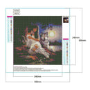 5D DIY Full Drill Diamond Painting Beauty Embroidery Craft Kit Decor (0523)