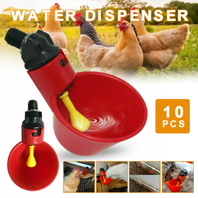 10Pcs Automatic Cups Water Feeder Drinker Chicken Poultry Bird Waterer Red Set