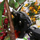 Garden Fruit Tree Pruning Shears Scissors Grafting Cutting Tool+ 3 Blades