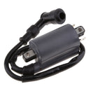 Ignition Coil Module for Buyang 300CC D300 G300 H300 ATV Quad BUGGY Black