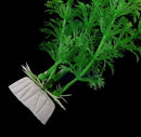 13" Cute Green Artificial Plastic Plant Grass Fish Tank Aquarium Ornament Decor