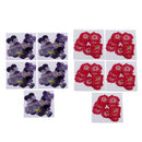 20 Pieces Pressed Dried Flowers Real Flowers for DIY Decoration