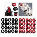 Set of 40 Rooster Collar Prevent Rooster from Disturbing Neighbors for Duck