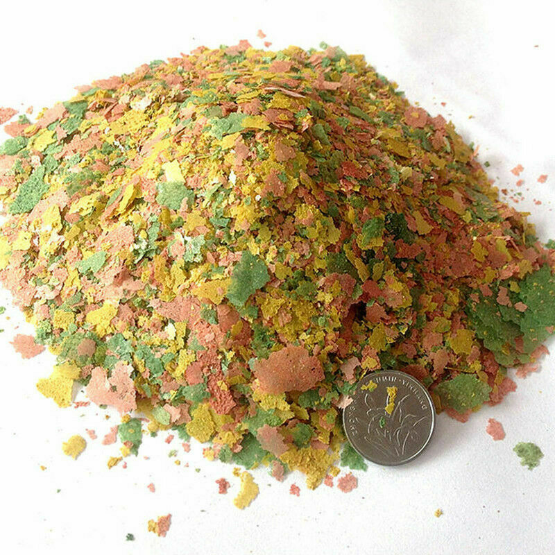 100g FRESH G01468 Tropical Cichlid Flake Food Fish Flakes Bulk Aquarium Pon B9D9