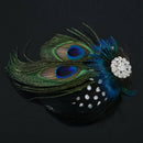 5X(Cute Peacock Feather Hair Clip C9D5)