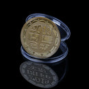 2019 Lucky Pig Commemorative Coin Year of Pig Delivers Money Coins Collection SP