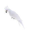5Pcs Lifelike Macaw Parrot Artificial Feathered Bird Statue for Home Outdoor