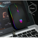 Wireless Mouse 2.4GHz Receiver 1600DPI Colorful Backlight Mice for Laptop PC