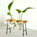 Test Tube Flower Vase ChairWooden Stand for Hydroponic Plant 3 Bottle
