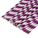 Paper Party Striped Straws Purple/White D3E9