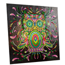 5D Owl Diamond Painting Special Shaped with Basic Tools DIY Rhinestone Arts