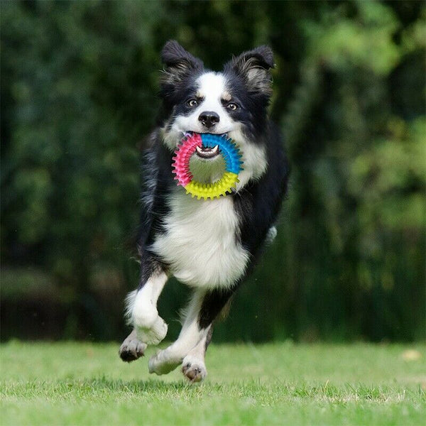 Dog Rope Toys,10 Pack Puppy Chew Toys Set Dog Cotton Rope Knot And Teeth Cl