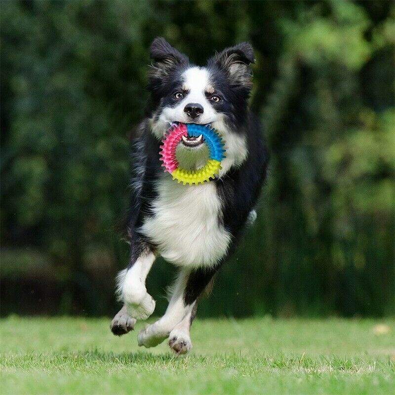 Dog Rope Toys,10 Pack Puppy Chew Toys Set Dog Cotton Rope Knot And Teeth Cl