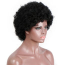 Brazilian Short Kinky Curly Afro Wigs For Black Women Hair Wigs For African E2X4