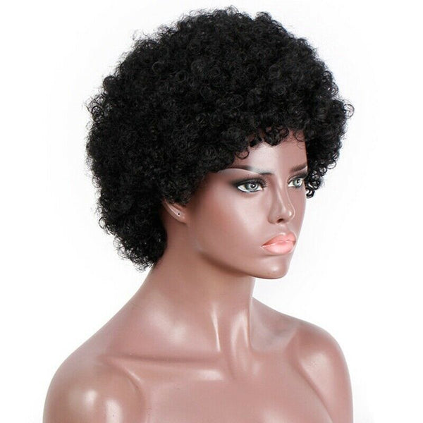 Brazilian Short Kinky Curly Afro Wigs For Black Women Hair Wigs For African E2X4