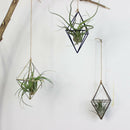 Freestanding Hanging Planters Geometric Swing Wrought Iron Tillandsia Air P D8Y2