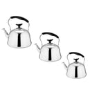 2-Pack Stainless Steel Water Pot Whistling Tea Kettle Kettle Stovetop 1L 2L