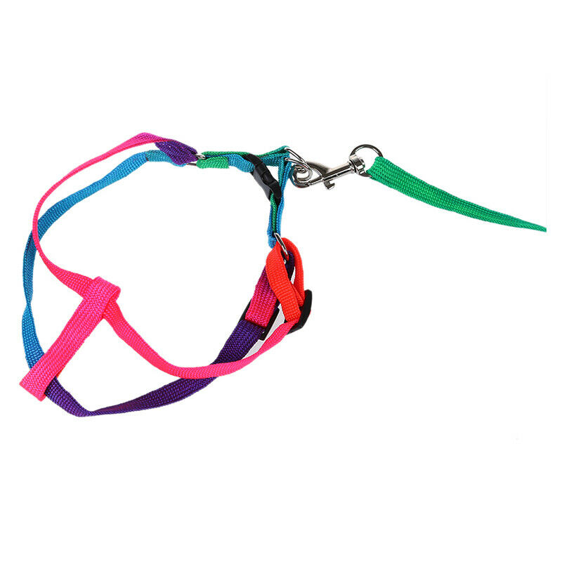 44" Long Rainbow Nylon Small Medium Size Dog Pet Harness Leash