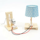 DIY Manual Crank Generator Power Lamp Science Educational Physics Teaching