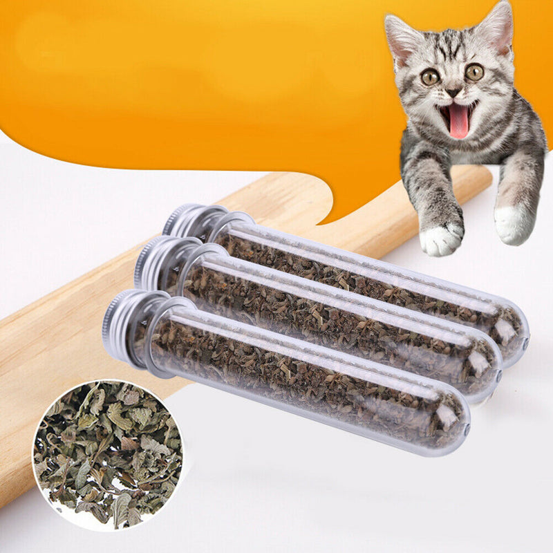 45ml Natural Catnip Catmint Menthol Flavor Cat Treats Funny Toys for Kitten