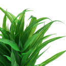 Set of 2, Plastic Terrarium Bamboo Leaf & Succulent Plant Animals Habitat for