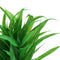 Set of 2, Plastic Terrarium Bamboo Leaf & Succulent Plant Animals Habitat for