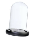 Glass Display Dome Cloche Bell Jar With Wooden Base for DIY Decor_Black A