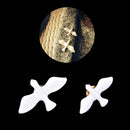 2X Stylish White Peace Dove Shirt Collar Buckle Bird Brooch Pin Xmas Gift L
