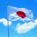 Flag Japan Japanese Polyester Outdoor Flag Congratulations 90 x 150 cm D7M2