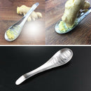 Stainless Steel Ginger Grater Spoon Ginger Tea Spoon Garlic Grater Lemon Zes Gw