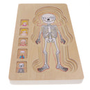 5-Layer Wooden Girl Body Puzzle, Help Your Girl Learn His Own Body Structure