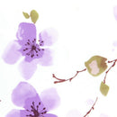 Frosted Window Film Frost Etched Glass Sticky Back 45cm x 2m Plum blossom V6I4