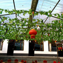 2 pack Artificial Ivy Vine Leaf Garland Plants Foliage Flowers Decor-230cm