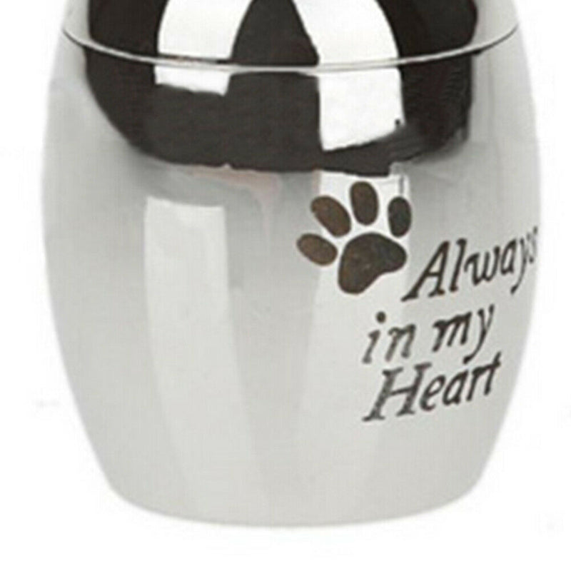 Paw Letters Printed Stainless Steel Pet Cinerary Casket Urn Pendant Deluxe