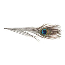20 pcs Artificial peacock feathers w / Eyes F6F8