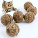Cats Natural Mint Edible Ball Kitten Interactive Bite Catnip Play Toys (01)