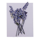 32x Natural Pressed Dried Flowers Muti Species For DIY Jewelry Crystal Soap