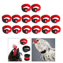 14pcs Rooster Collar Anti Crow Prevent Chicken from Screaming for Duck