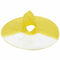 Kids Hands Free Foldable Wearable Raincoat Umbrella Hat for Raining Fun (Sm