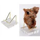 Acrylic Display Easel Holder for Mineral Fossil Rocks Quartz Platter Medals