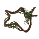 Repitals Climbing Jungle Vine Natural Habitat Decor for  Geckos M