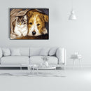 DIY Digital Oil Painting By Numbers Staying Dog Cat Acrylic Animal Picture A