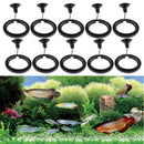 Betta Feeding Ring Aquarium Fish Feeding Ring With Suction Cup Black 10 Pack