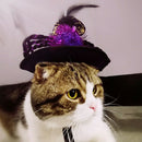 Halloween Pet Supplies Pet Dog and Cat Ornaments Halloween Pet Spider Hat W