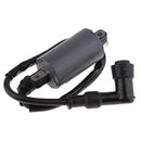 Ignition Coil Module for Buyang 300CC D300 G300 H300 ATV Quad BUGGY Black